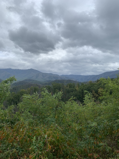 Video leaks cd-natalie