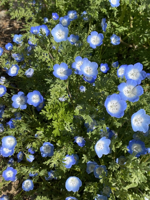 Video leaks ch0c0cat