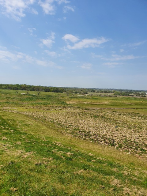 Video leaks charleyd1996