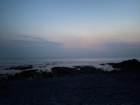 Video leaks charlieof0123