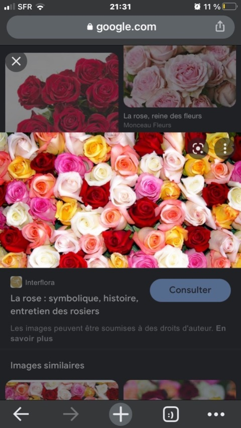 Video leaks cheeefbitch