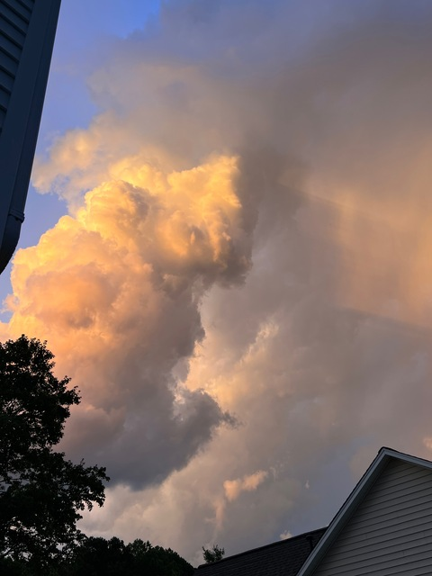 Video leaks cheekygirl2