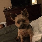 Onlyfans leaks chellb 

 profile picture