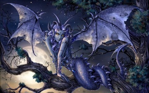 Video leaks cherrydragon