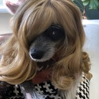 chillb0ys Profile Picture
