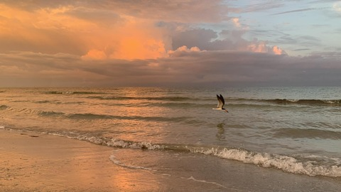 Video leaks chloefraten