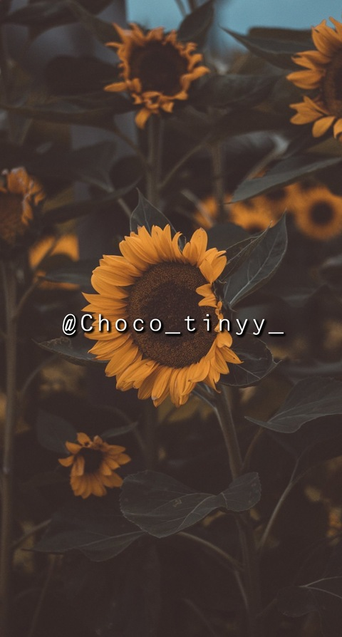 Video leaks choco_tinyy_