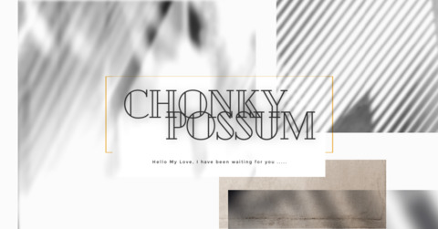 Video leaks chonkypossum