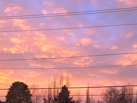 Video leaks chub-bee