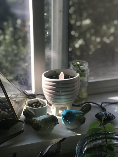 Video leaks clashcult