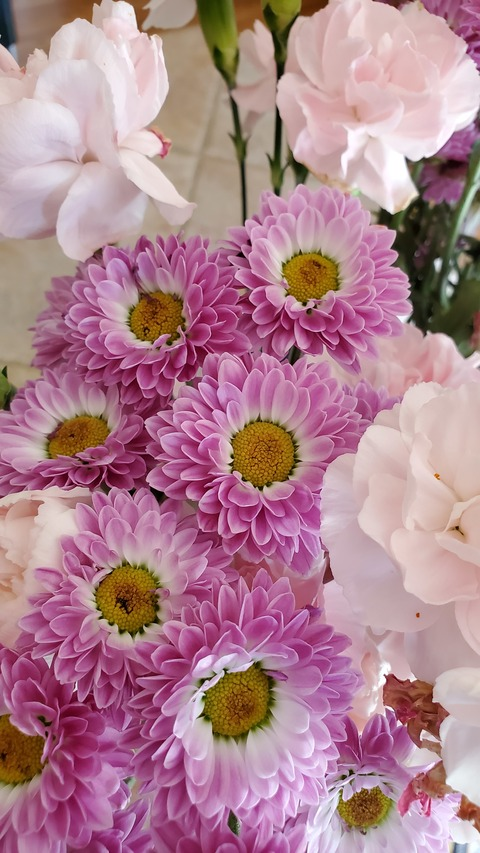 Video leaks code_moonie