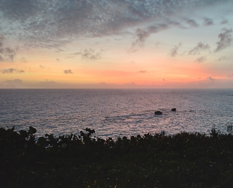 Video leaks comedybronze