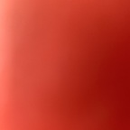 cornballofficial OnlyFans Leaked Photos and Videos 

 profile picture