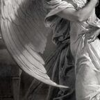 cupidscherry (Cupid's Cherry) OnlyFans Leaked Videos and Pictures 

 profile picture