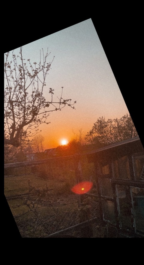 Video leaks cuteboyfinn69