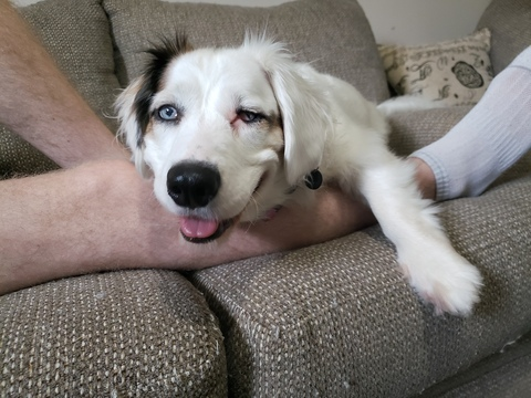 Video leaks cuteshygirl99