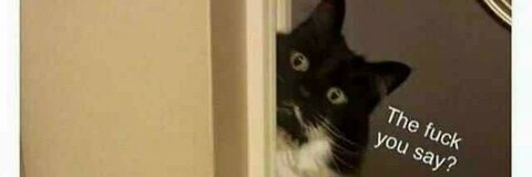 Video leaks cypher21