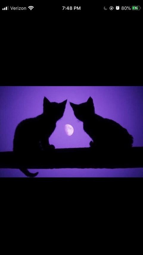 Video leaks d0ubletr0ublee