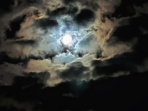 Video leaks d3monbitch666