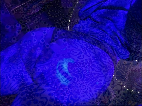 Video leaks d3nton22