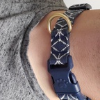 Scott Black (@dadbodboytoy) Leak OnlyFans 

 profile picture
