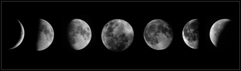 Video leaks dakotamoonj