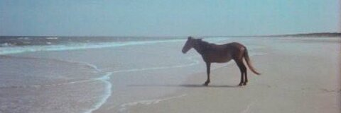 Video leaks daneburman