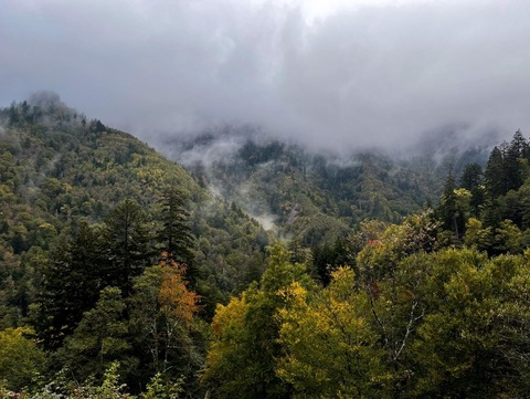 Video leaks daniellewiild