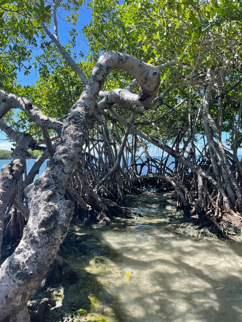 Video leaks danmartinezm