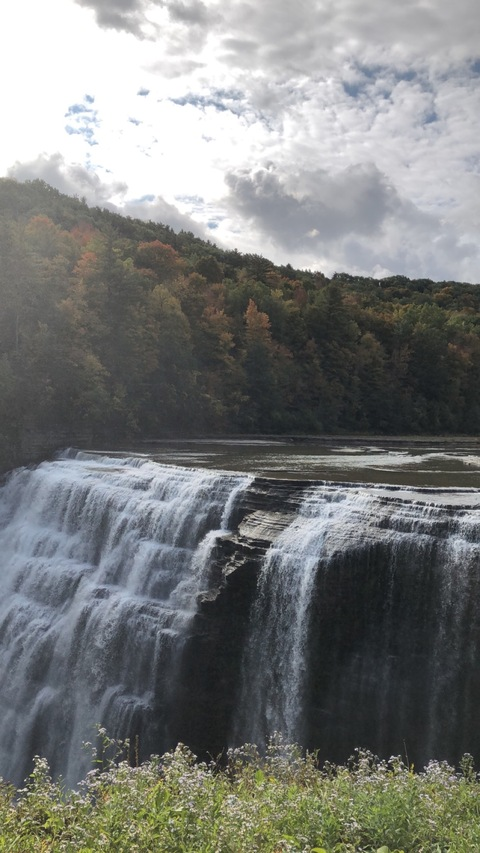 Video leaks darbear19