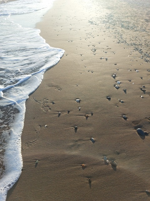 Video leaks dariaaa9