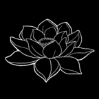 darklotusphoto (Dark Lotus Fantasies) free OnlyFans Leaks 

 profile picture