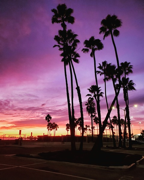 Video leaks dathrills