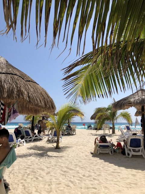 Video leaks davesmith007