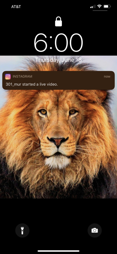 Video leaks dclion36