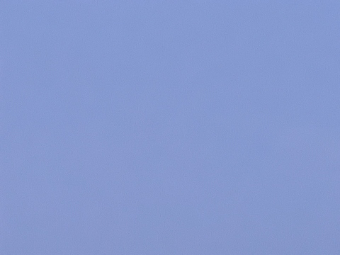 Video leaks ddaftendirekt