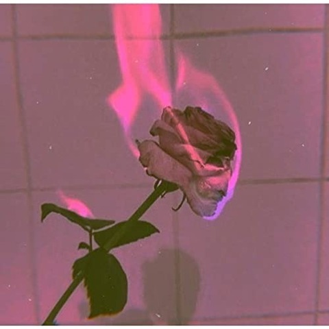 Header of dddgothgf
