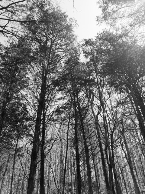 Video leaks death_bloom13