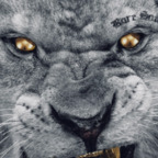 deepstrokeee Profile Picture