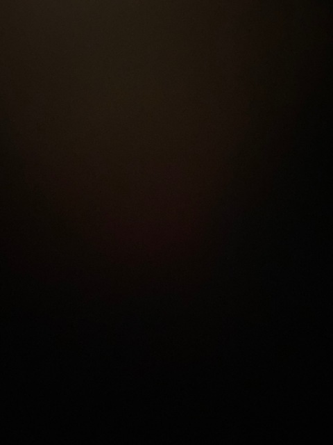 Video leaks dessss93
