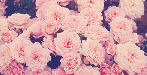 Video leaks destinymamiii