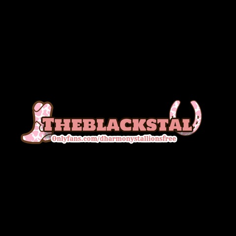 Video leaks dharmonystallionsfree