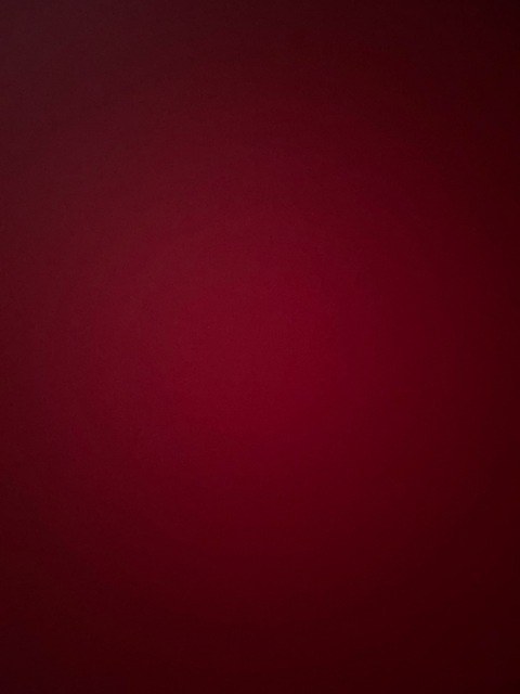 Video leaks dirtybea