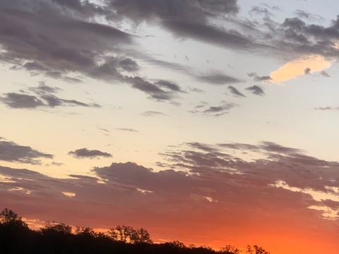 Video leaks dirtydaisysdukes