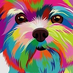 dixnx.xrl Profile Picture