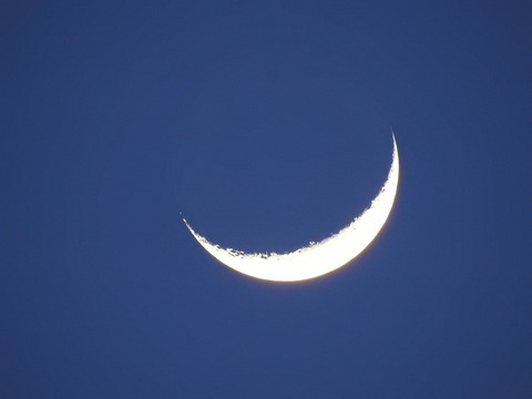 Video leaks doggiespecialist