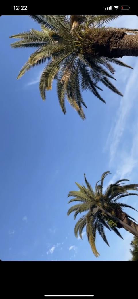 Video leaks dollxxxx