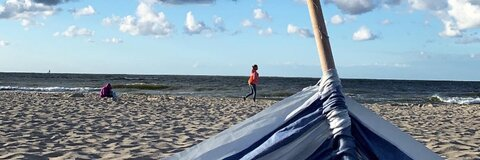 Video leaks dominn