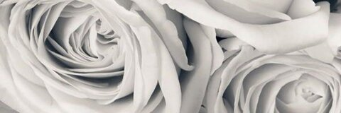 Video leaks dorothyrosesilvaxo
