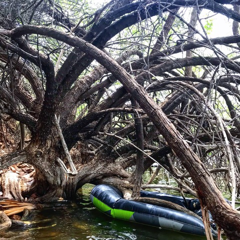 Video leaks doryxbrek